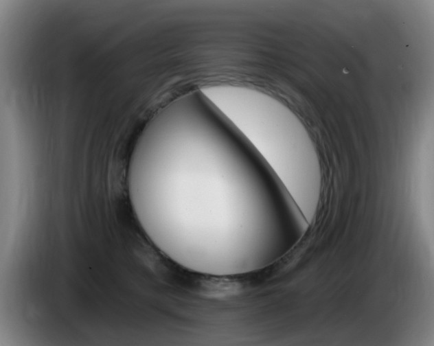 X0000085320421200703091119