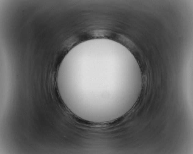 X0000085320422200703091119