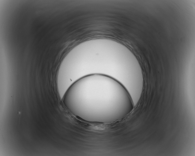 X0000085320423200703091119