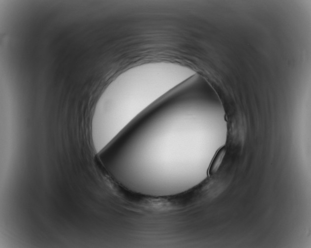 X0000085320424200703091119