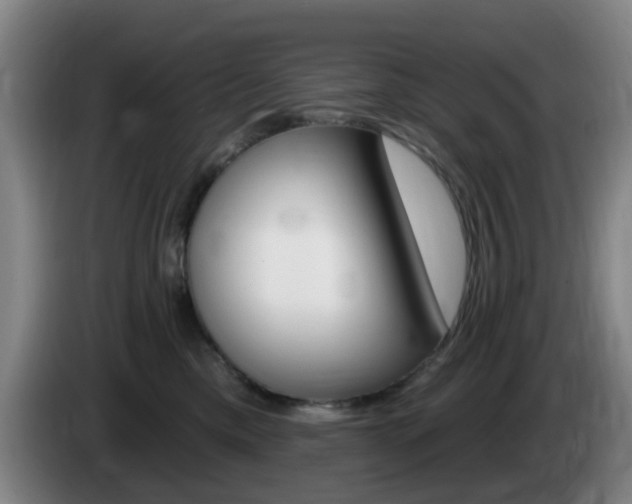 X0000085320425200703091119