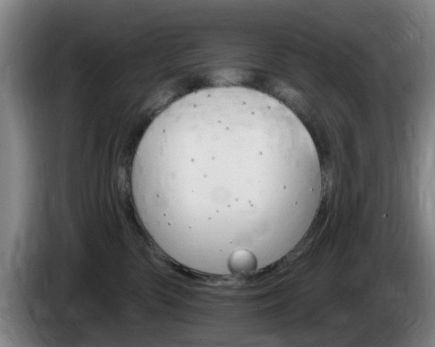 X0000085320426200703091119