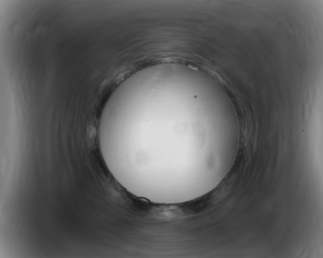 X0000085320427200703091119