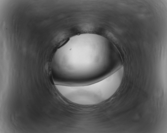 X0000085320428200703091119