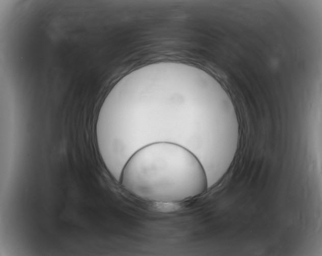 X0000085320429200703091119