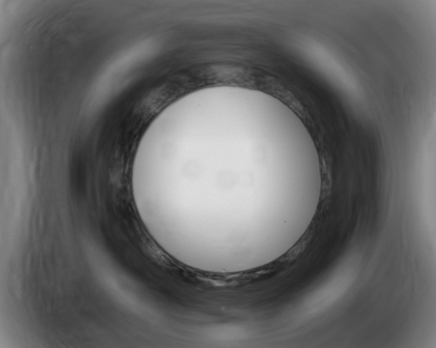 X0000085320430200703091119