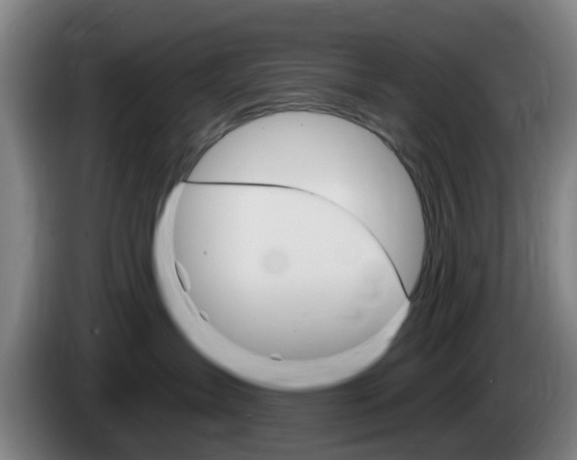 X0000085320431200703091119