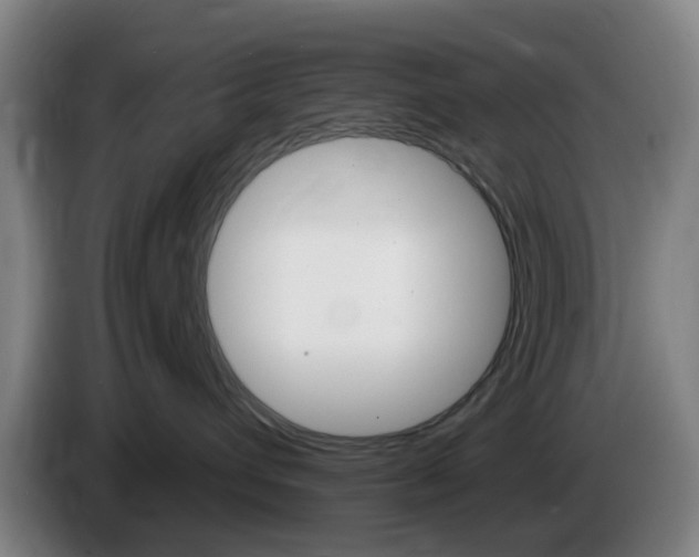 X0000085320432200703091119