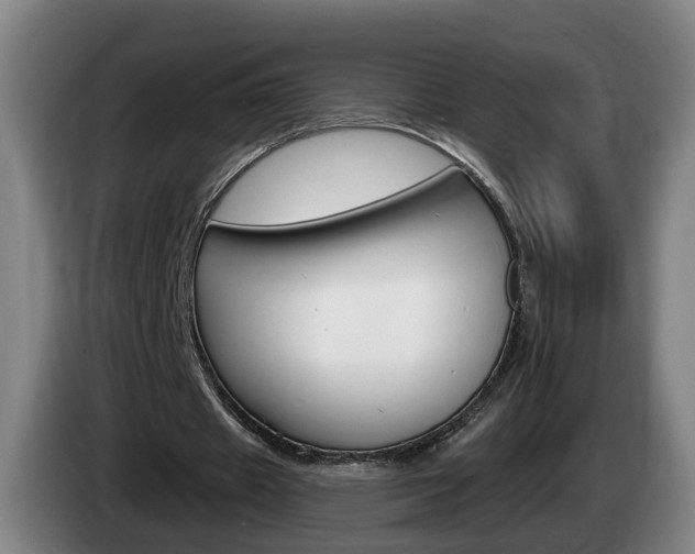 X0000085320433200703091118