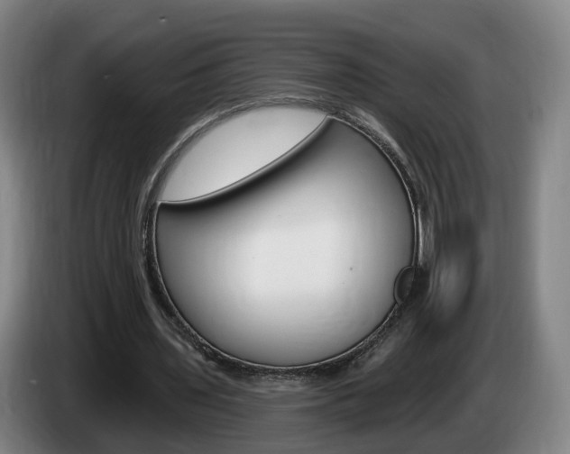 X0000085320435200703091118