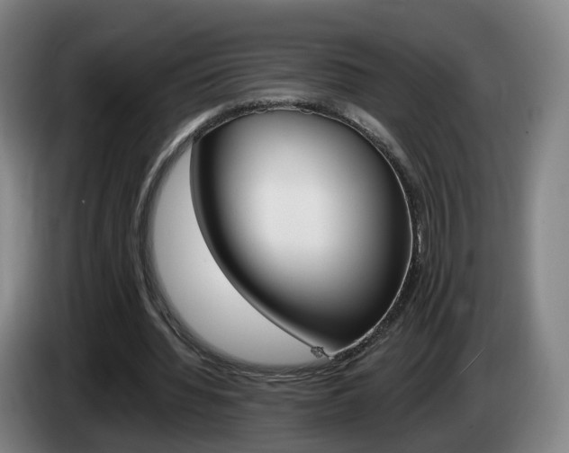 X0000085320436200703091118