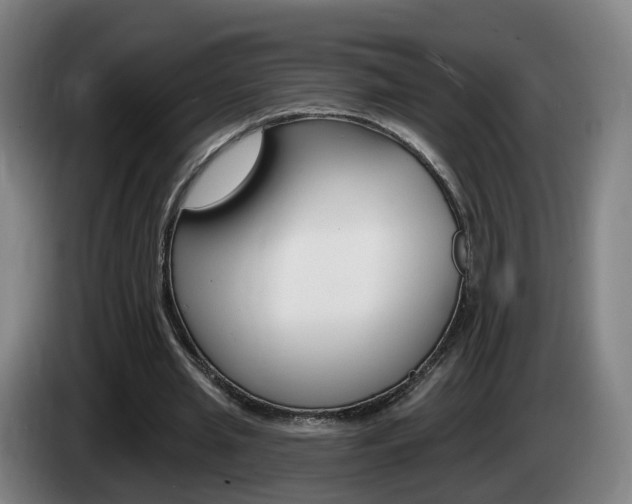 X0000085320437200703091118