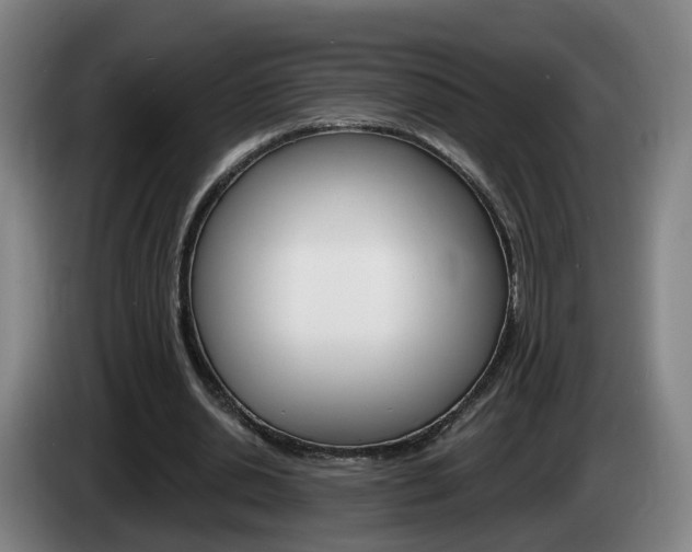 X0000085320438200703091118
