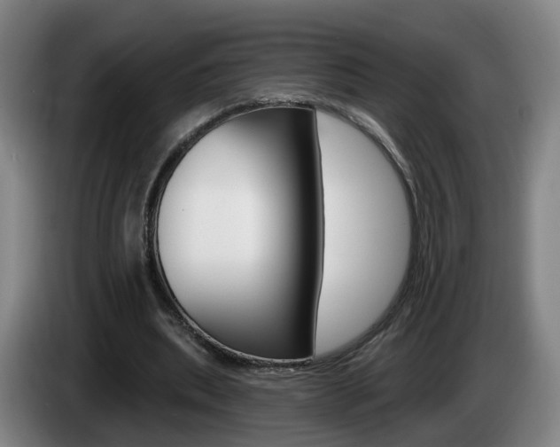 X0000085320439200703091118