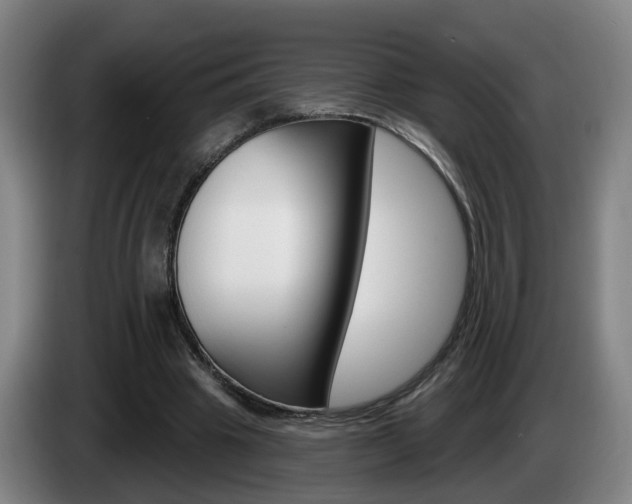 X0000085320441200703091118