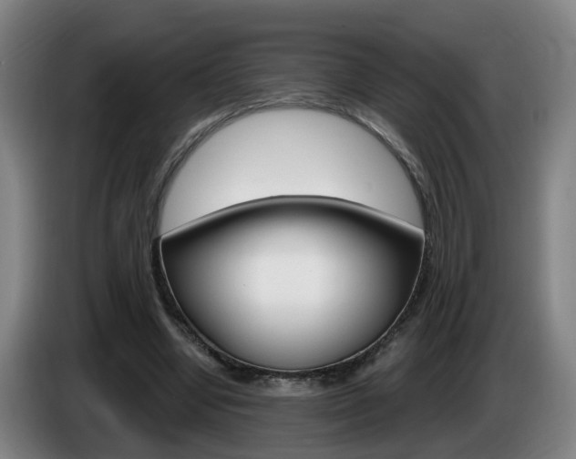 X0000085320442200703091118