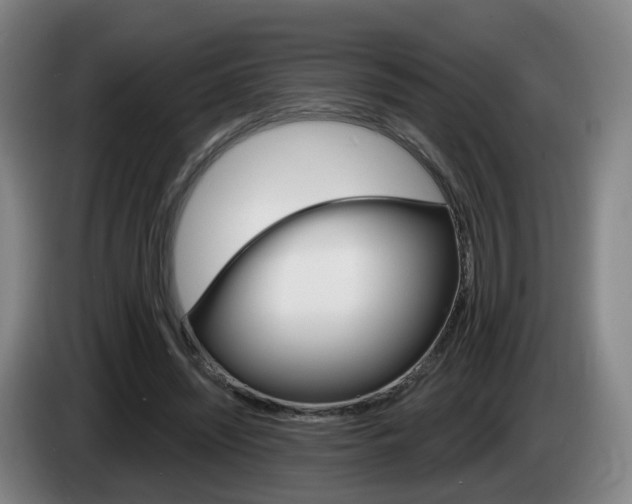 X0000085320444200703091118