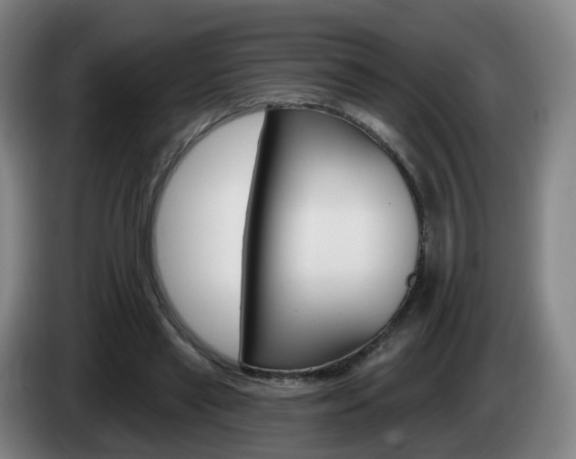 X0000085320445200703091118