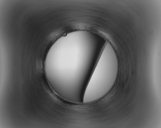 X0000085320453200703091118