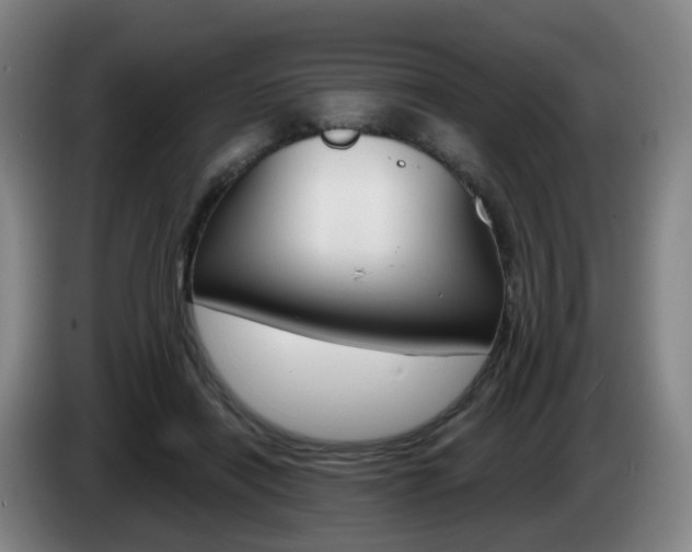 X0000085320454200703091118