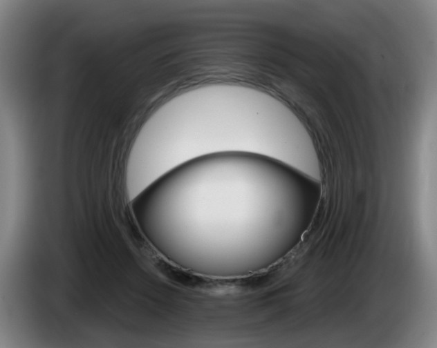 X0000085320456200703091118