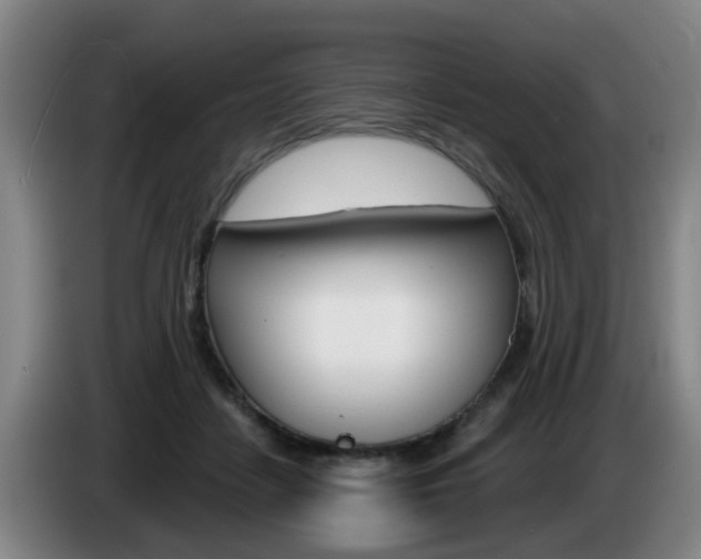 X0000085320458200703091118