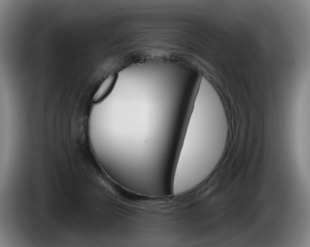 X0000085320462200703091118