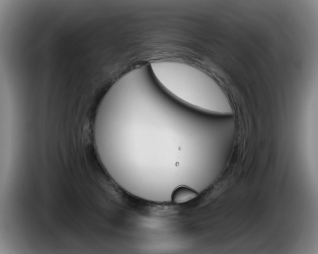 X0000085320465200703091118