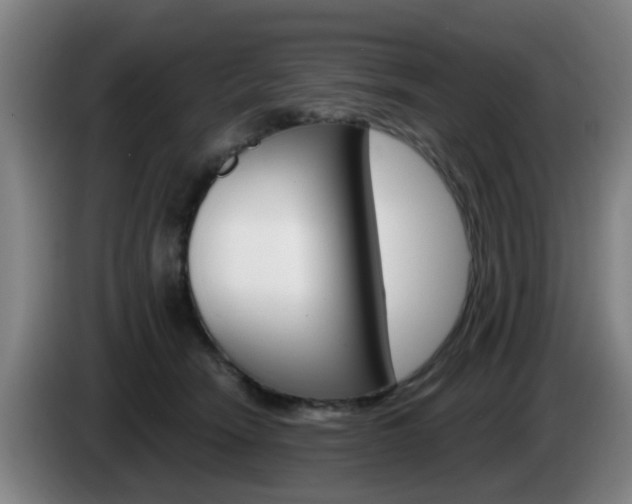 X0000085320466200703091118