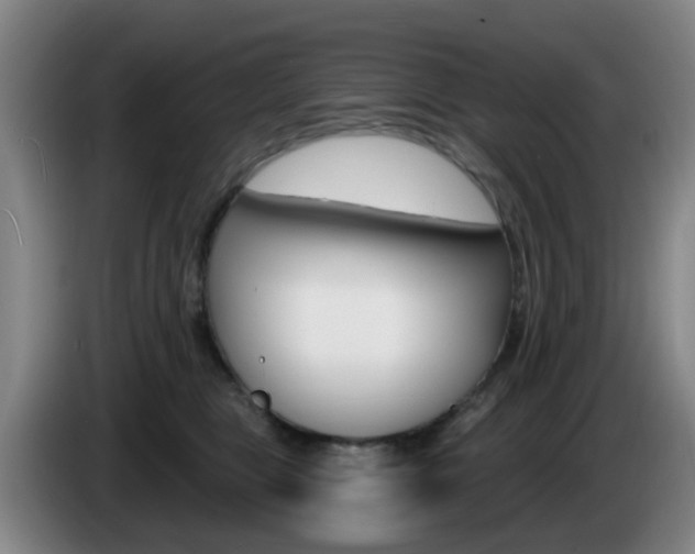 X0000085320469200703091118