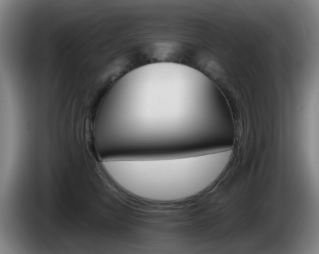 X0000085320470200703091118