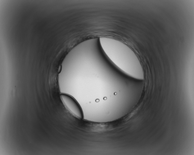 X0000085320473200703091119