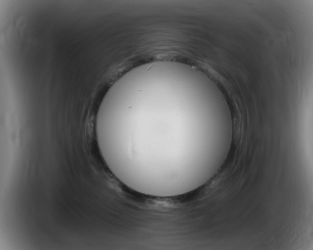 X0000085320475200703091119