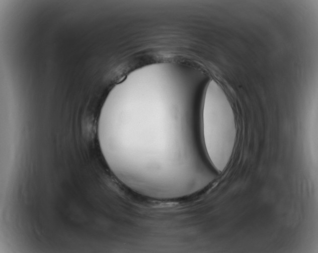 X0000085320476200703091119