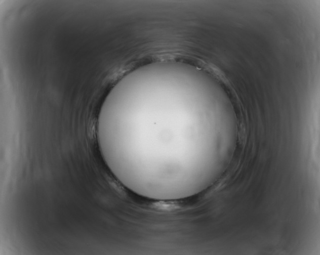 X0000085320477200703091119