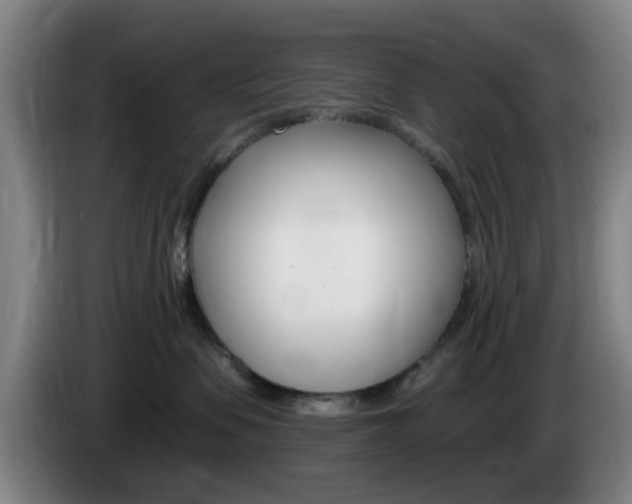 X0000085320479200703091119