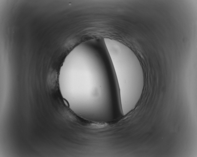 X0000085320480200703091119
