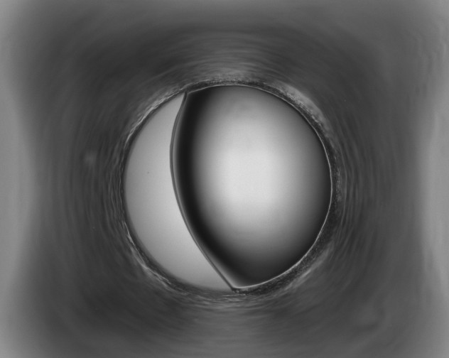 X0000085320481200703091118