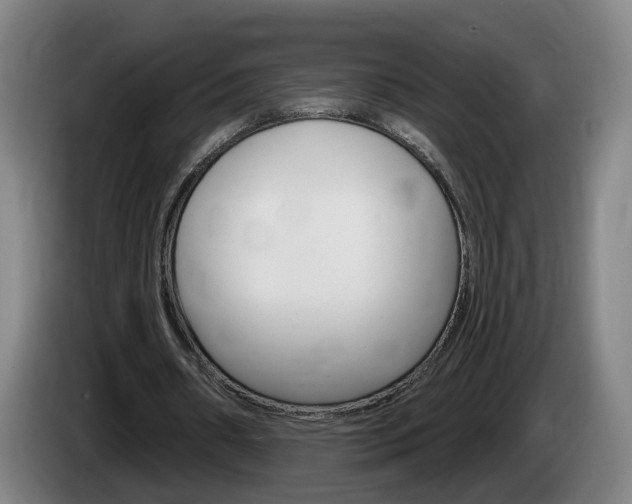 X0000085320482200703091118
