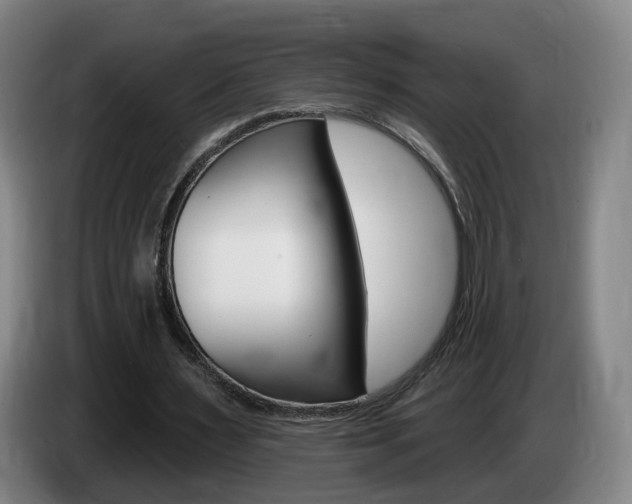 X0000085320483200703091118