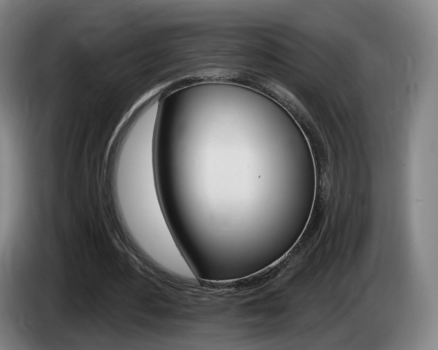 X0000085320484200703091118