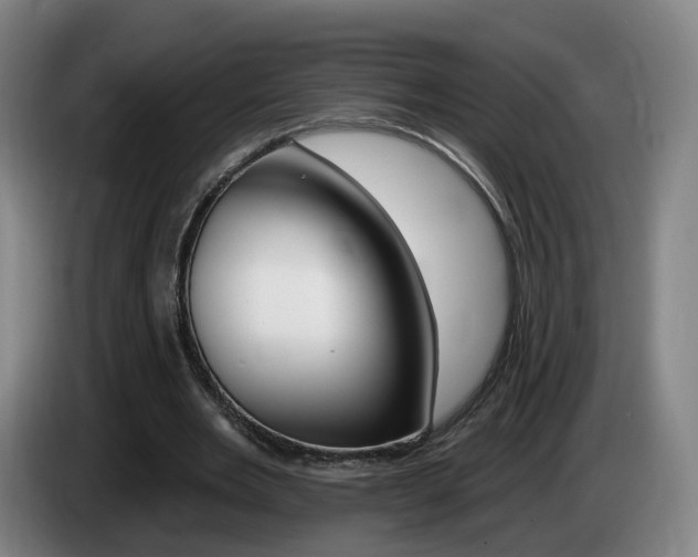X0000085320485200703091118