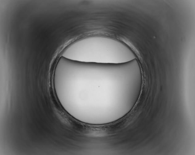 X0000085320486200703091118