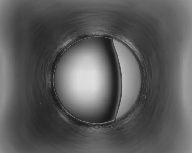 X0000085320489200703091118