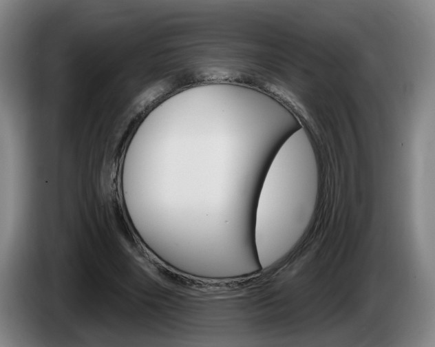 X0000085320490200703091118