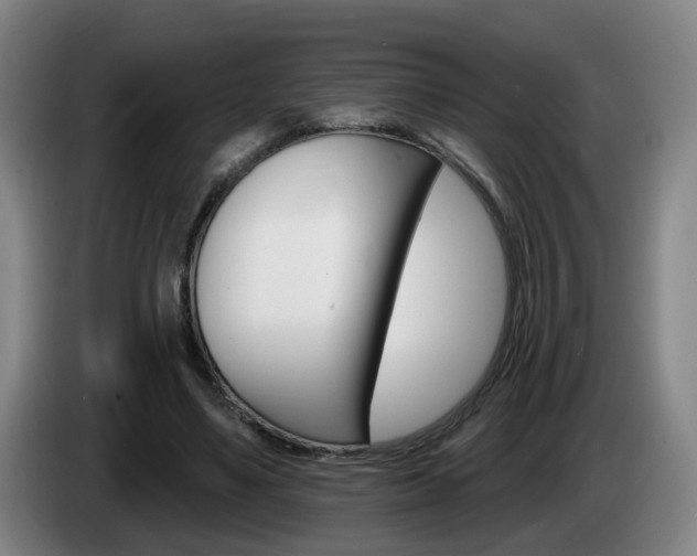 X0000085320491200703091118