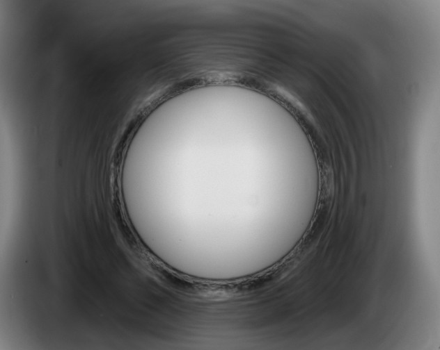 X0000085320494200703091118