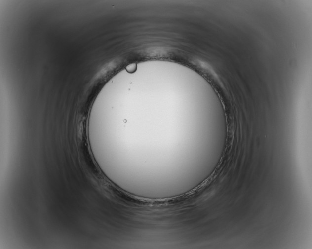 X0000085320495200703091118