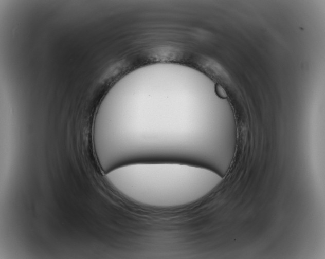 X0000085320499200703091118
