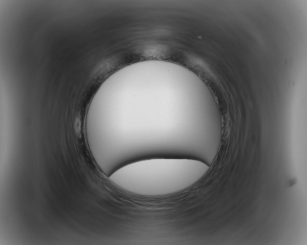 X0000085320502200703091118